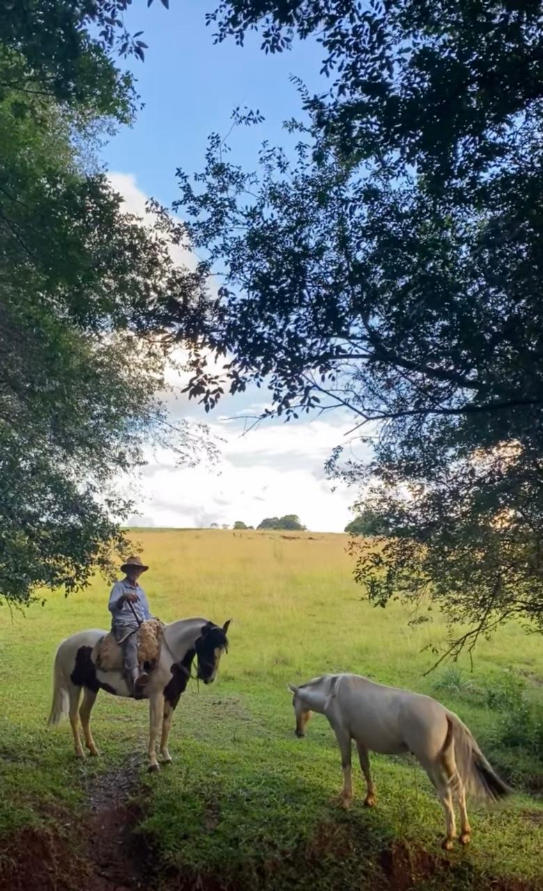 Foto de Cabanha Frizon e Acervo Terra do Divino