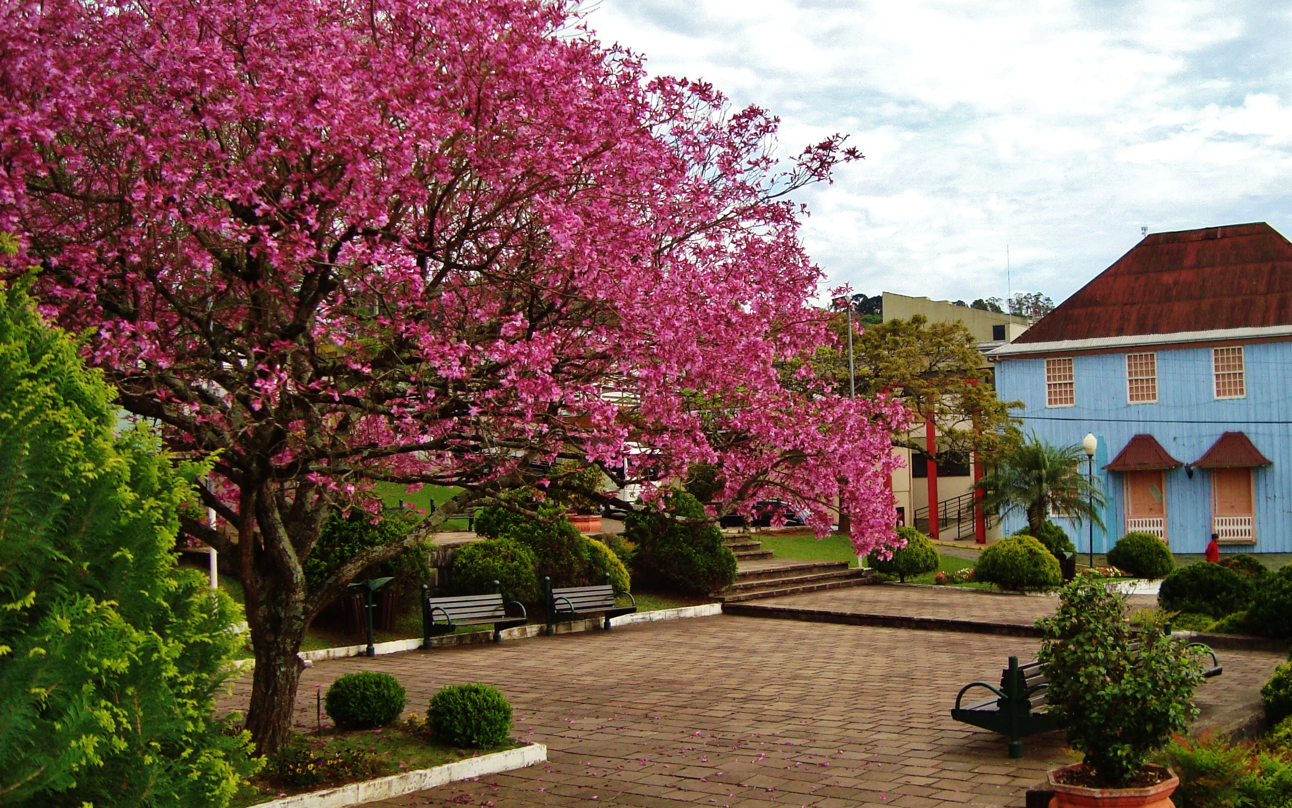Casarão Municipal