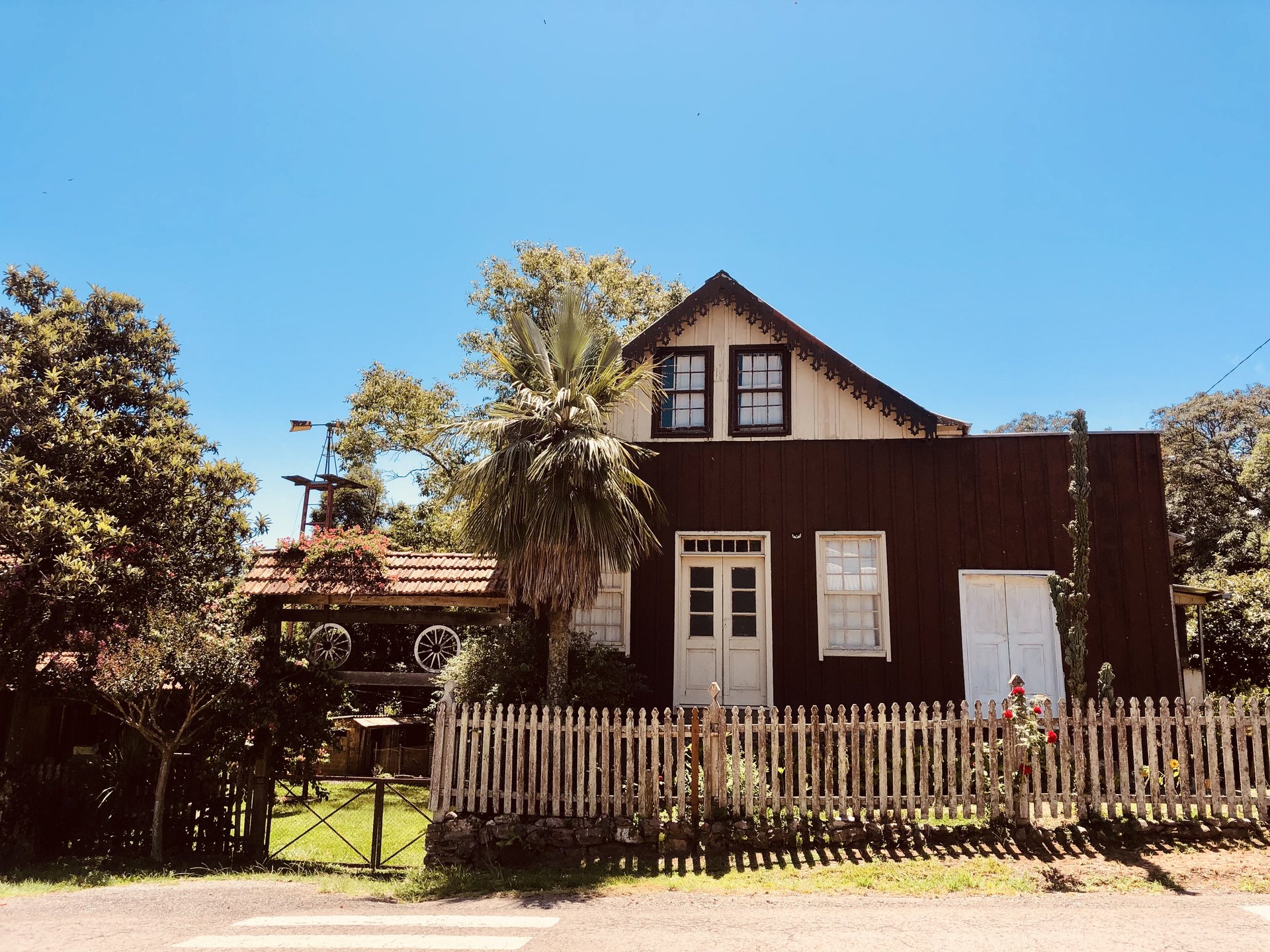 Foto de Museu Peliciolli
