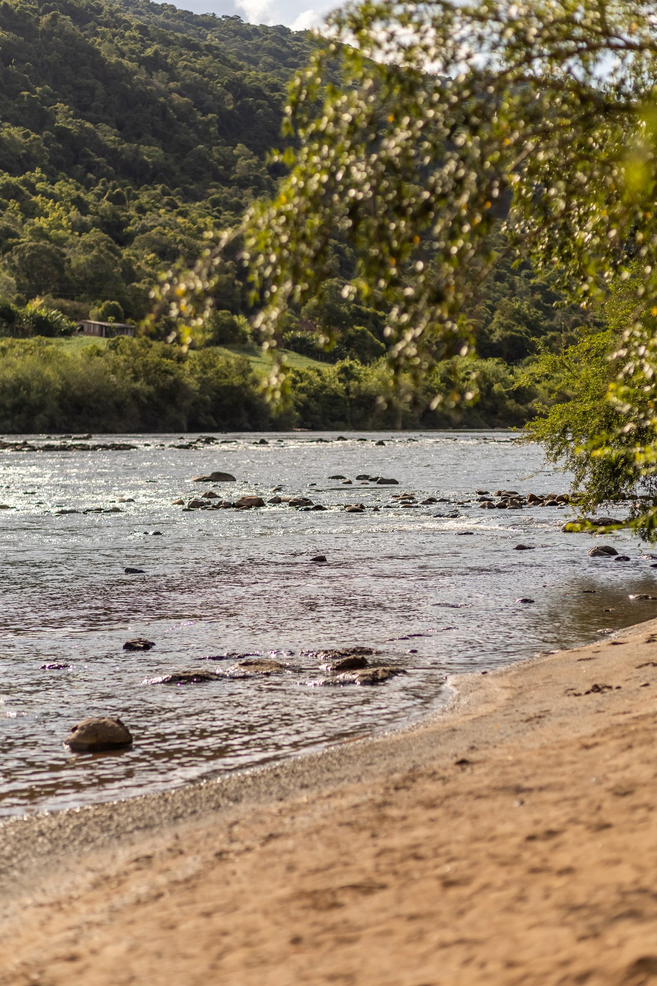 Foto de RIO TAQUARI