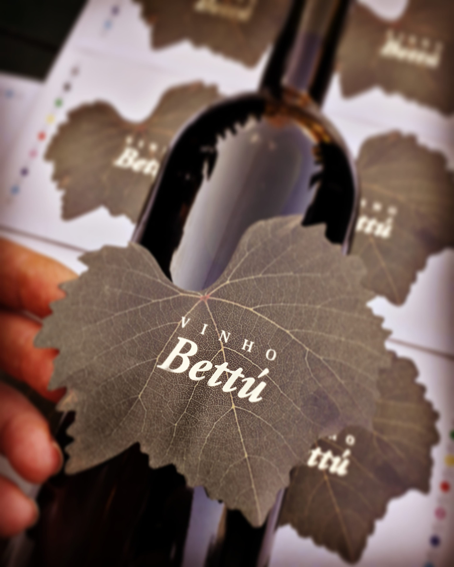 Foto de Vinhos Bettú – Turismo Enológico de Vilmar Bettú