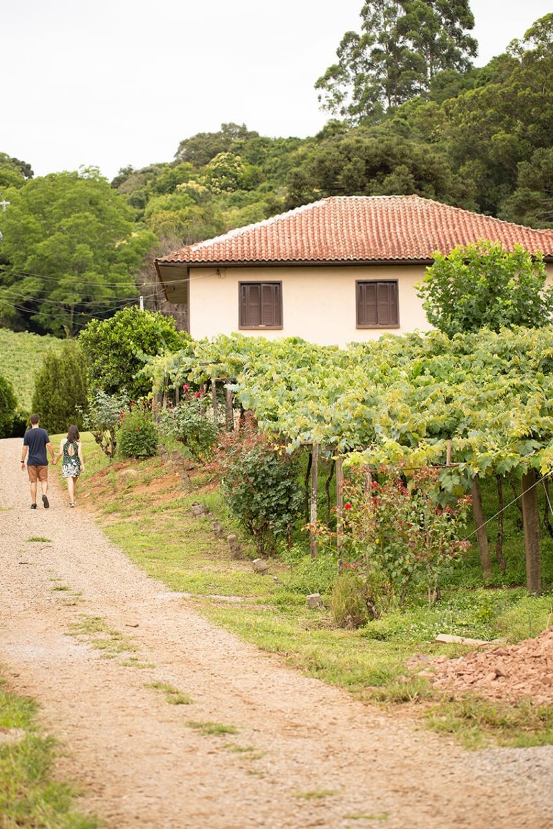 Foto de Vinícola Scortese
