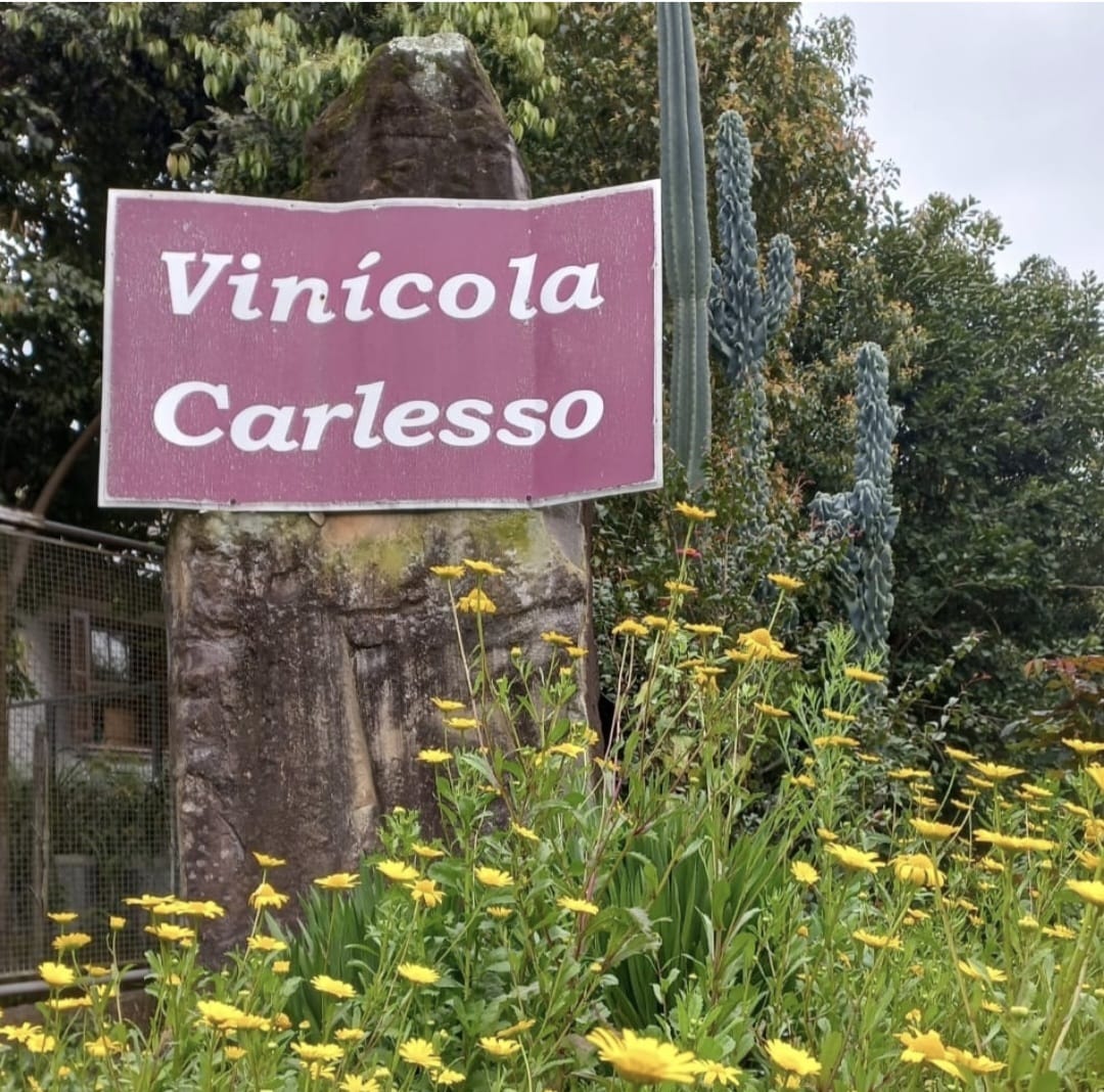 Foto de Vinícola Carlesso