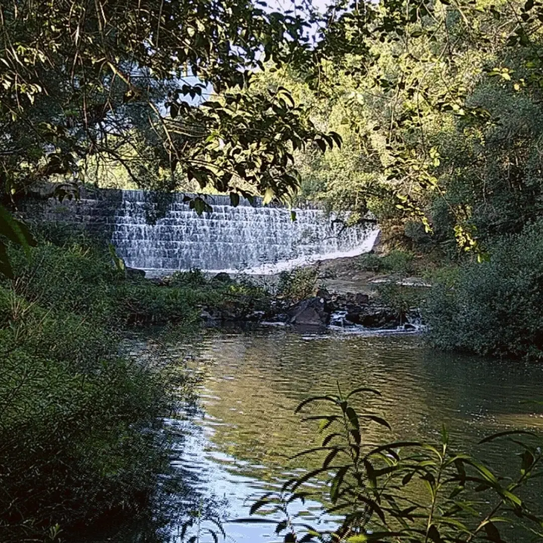 Foto de Parque Cascata da Usina - Camping