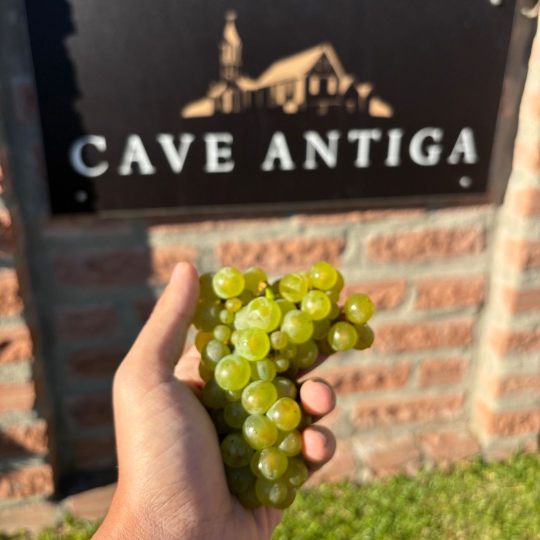 Foto de Cave Antiga Vitivinícola