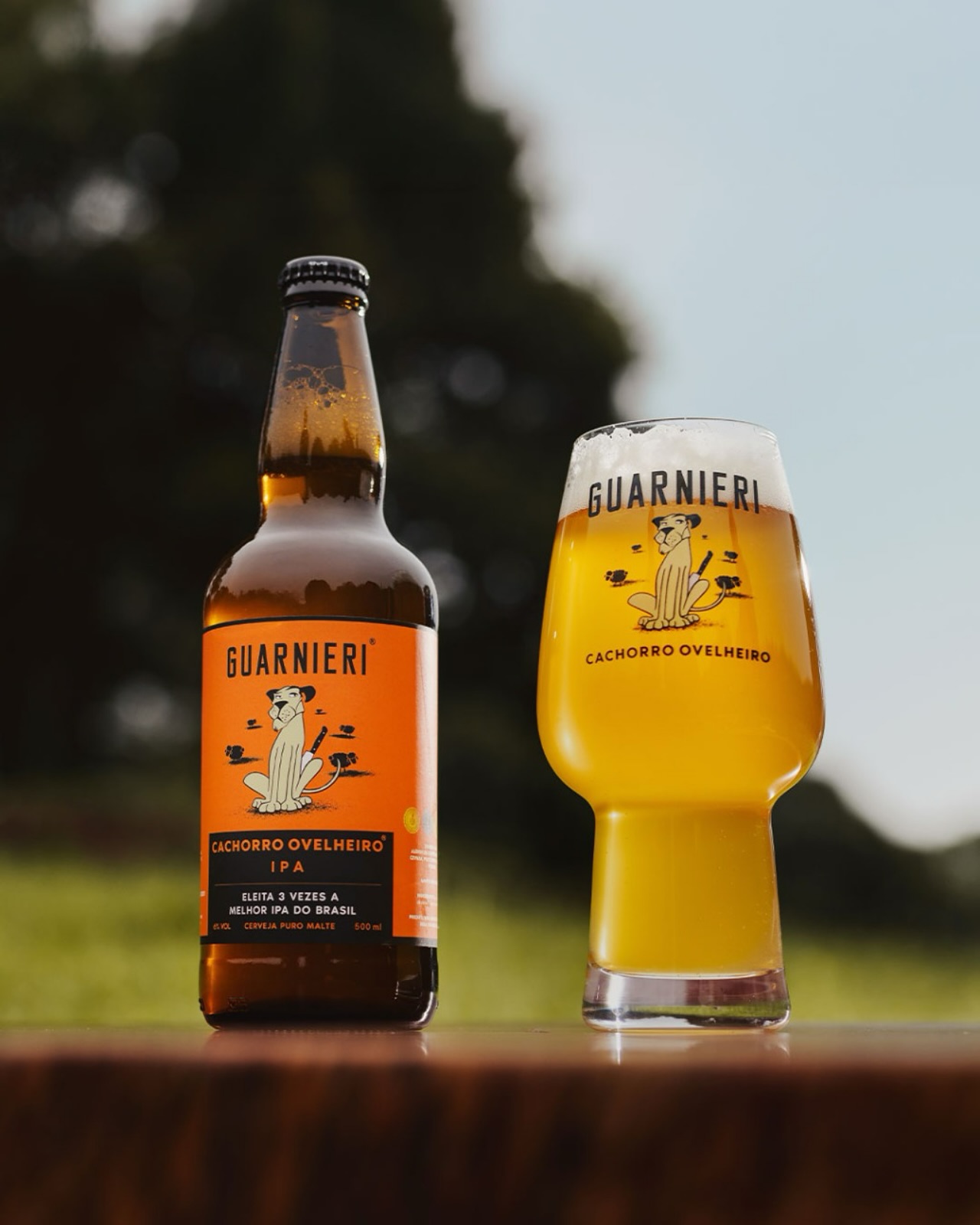 Foto de Cervejaria Guarnieri