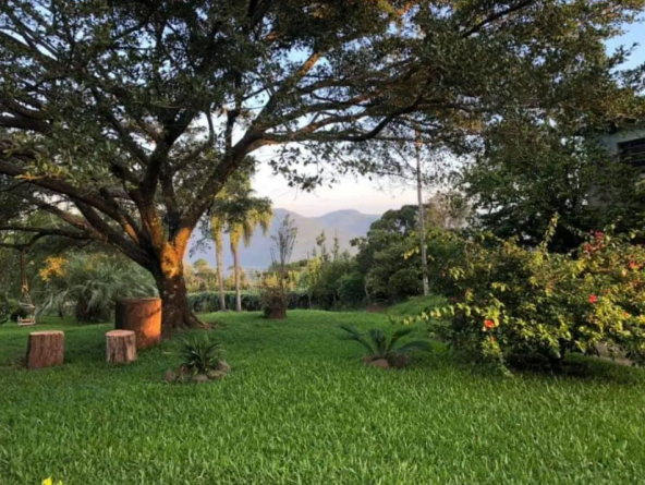 Foto de Colônia Família Dallegrave