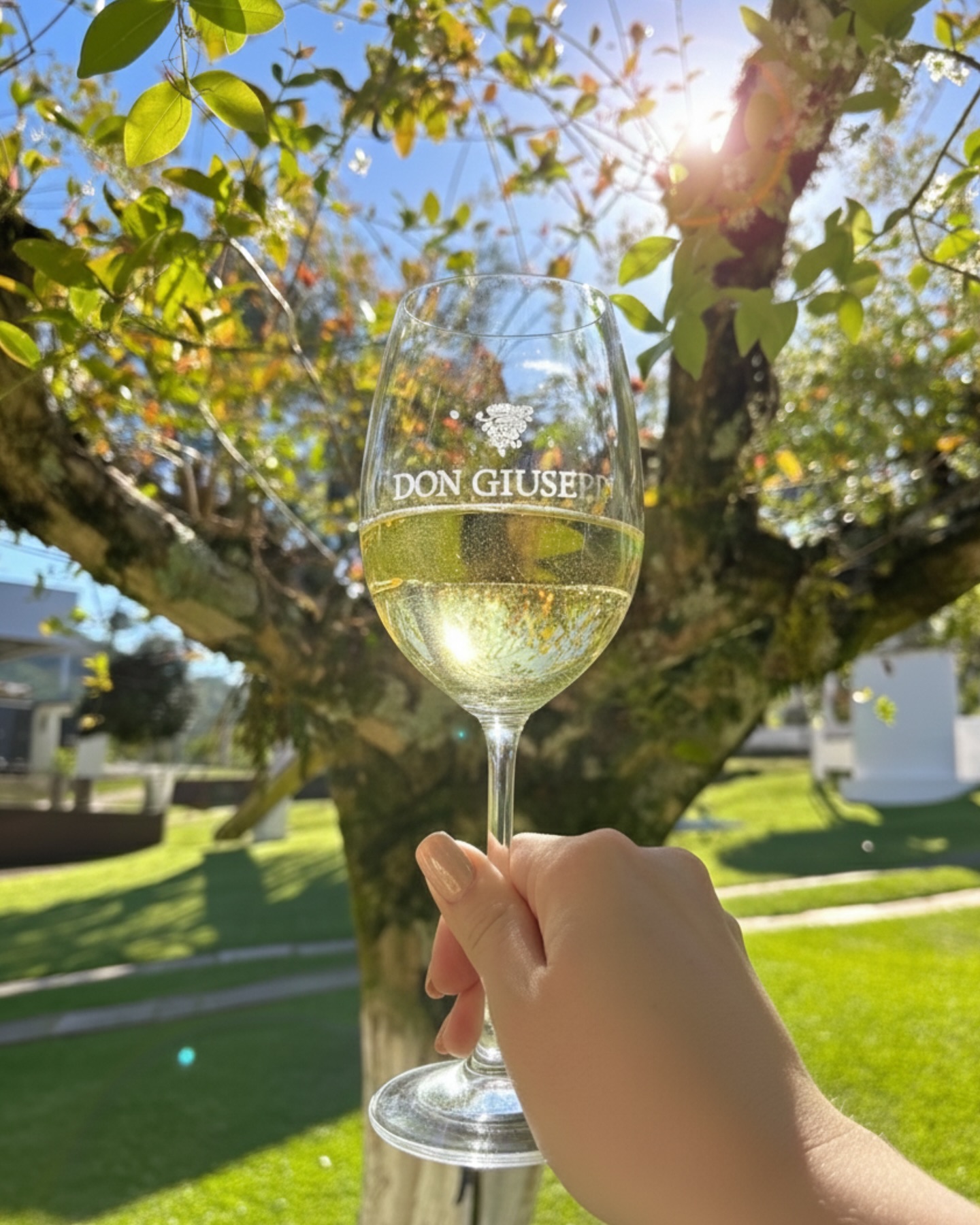 Foto de Vinhos Don Giusepp