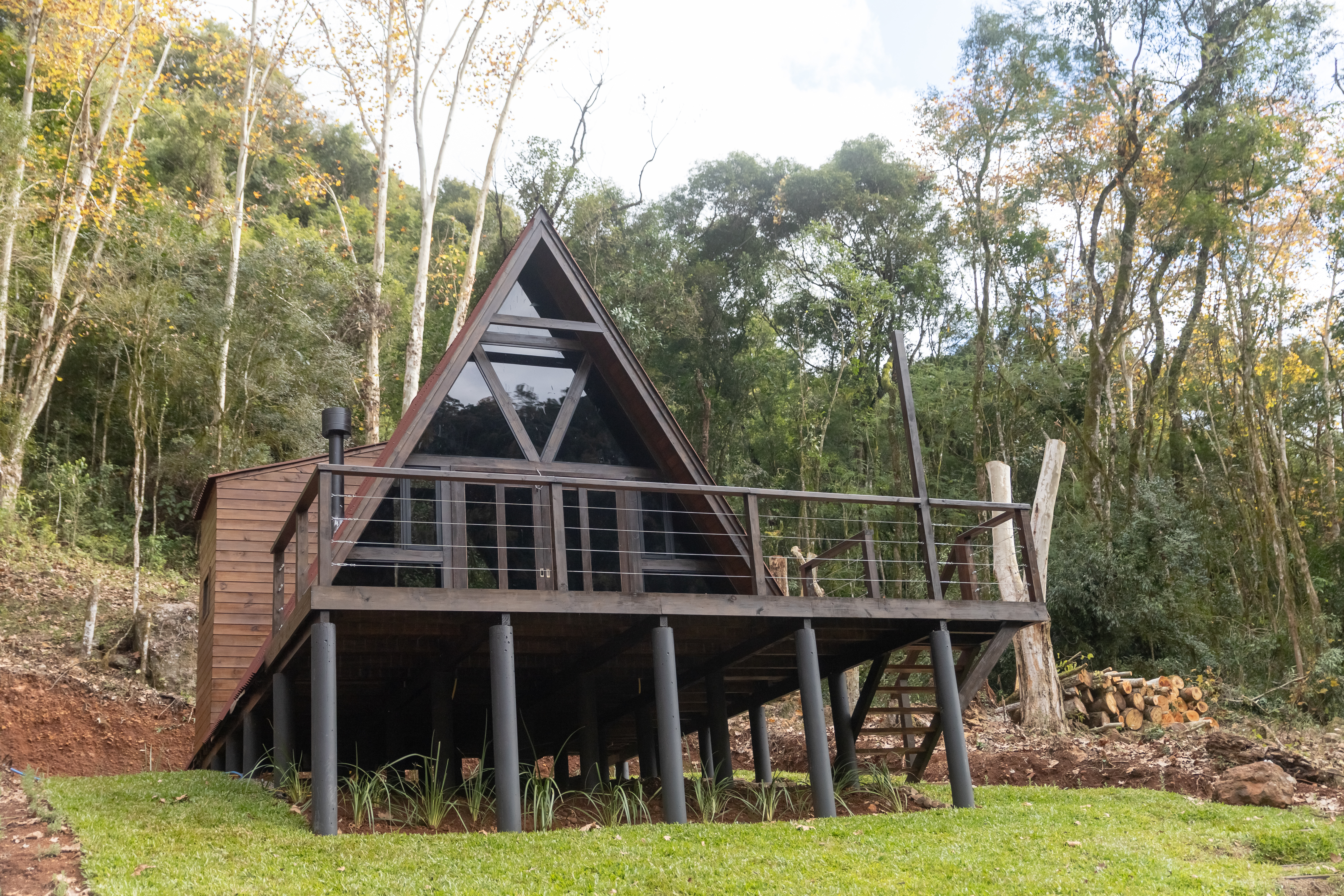 Foto de FLORESTA DE LA CAMPANA
