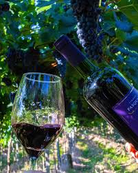 Foto de Vinhos Pasquali