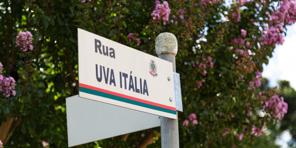 Foto de Ruas com nomes de Uvas