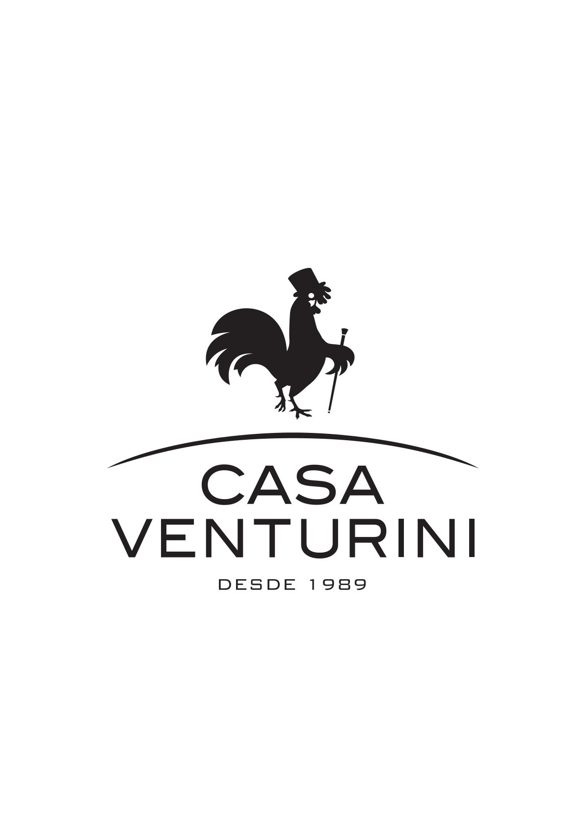 Logo Casa Venturini