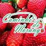 Logo CAMINHO'S DO MORANGO